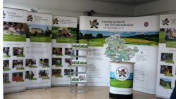 Neue Ausstellung