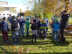 Eine Silberweide in Gera