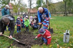 Eine Walnuss in Beinrode