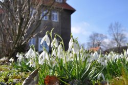 Frühlingserwachen im Schullandheim Johannitergut