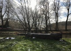 Teich