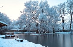 Teich im Winter