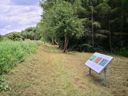 SEH-WEG - ein Kräuter- und Skulpturenpfad rund um das Dorf