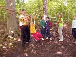Waldsportfest