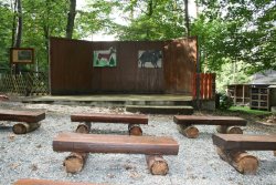 Waldbühne Schullandheim Stern