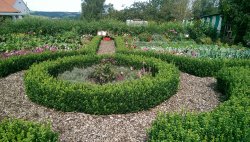 Bauerngarten
