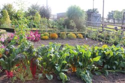 Bauerngarten