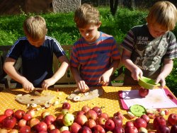 Rund um den Apfel
