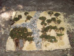 Naturbilder legen