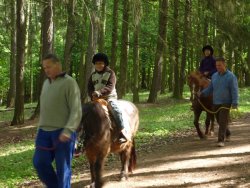 Ponyreiten