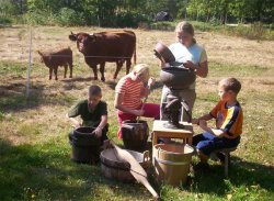 Von der Milch zur Butter