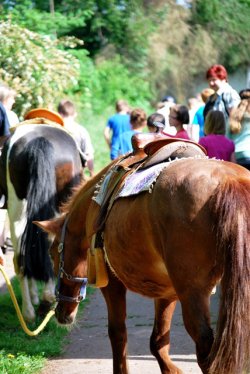 Wir gehen zum Ponyreiten