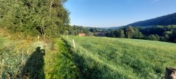 Auf dem Brehmwanderweg