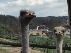 Was guckst du?
