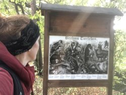Auf dem Brehm-Rundwanderweg
