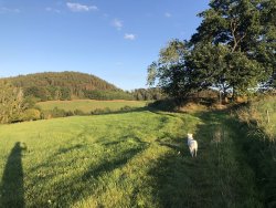 Auf den Wanderwegen der Tälerdöfer