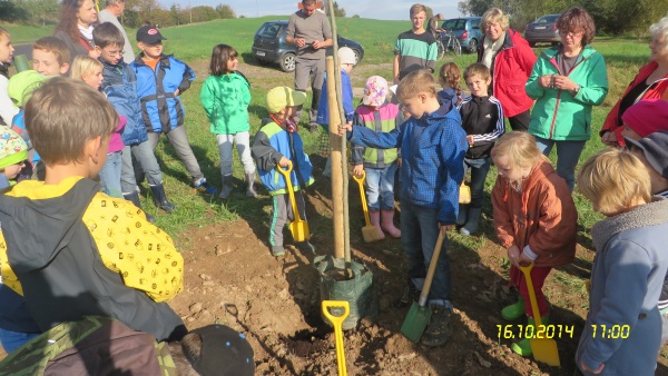 Baumpflanzaktion Baumpflanzaktion