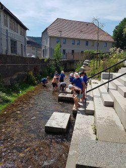 Spaß in der Grünen Oase 1